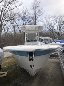 Sea Fox 248 Commander image