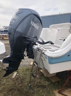 Sea Fox 248 Commander image