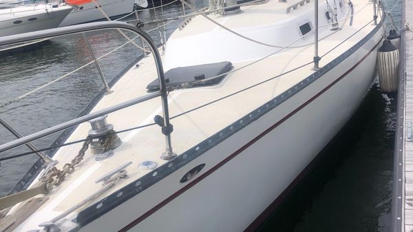 Tartan 33
