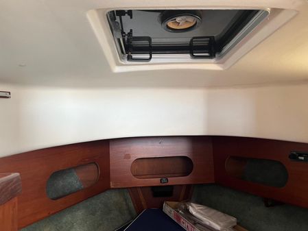 Cape Dory 28 Flybridge image