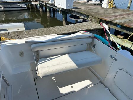 Bayliner Discovery 288 image