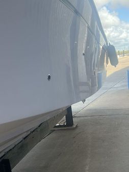 Grady-White Canyon 336 image