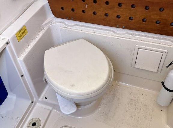 Grady-White Canyon 336 image