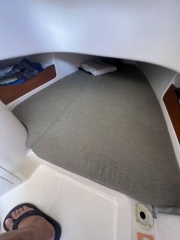 Grady-White Canyon 336 image