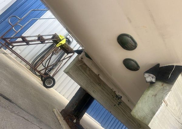 Grady-White Canyon 336 image