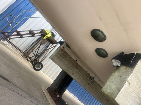 Grady-White Canyon 336 image