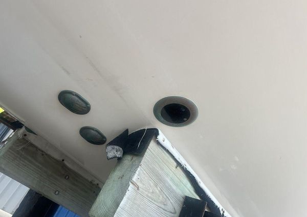 Grady-White Canyon 336 image