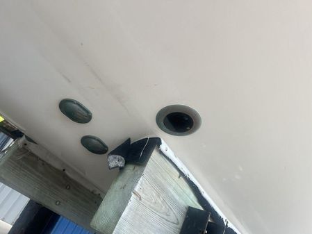 Grady-White Canyon 336 image