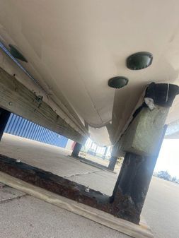 Grady-White Canyon 336 image