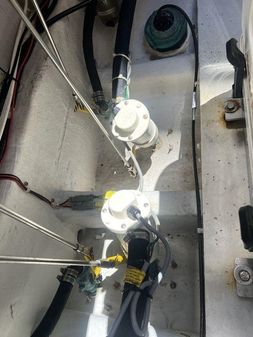 Grady-White Canyon 336 image