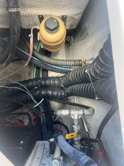 Grady-White Canyon 336 image