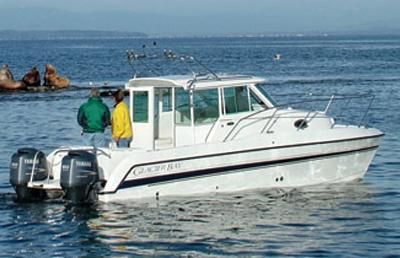 Glacier Bay 2690 Bulkhead 