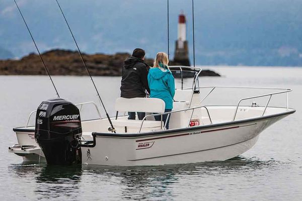 Boston-whaler 190-MONTAUK - main image